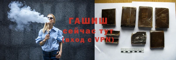 мдпв Краснослободск