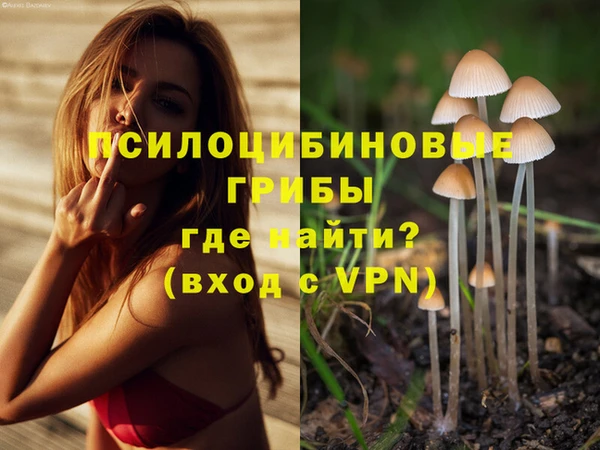 МДМА Лабытнанги