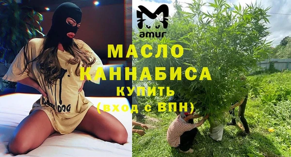 мдпв Краснослободск