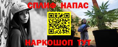 стафф Камышлов