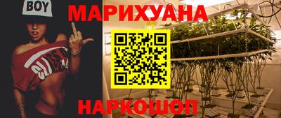 стафф Камышлов