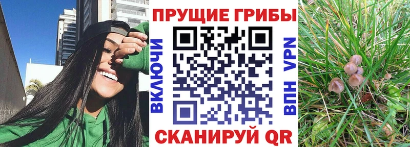 что такое   Малгобек  Галлюциногенные грибы Magic Shrooms 