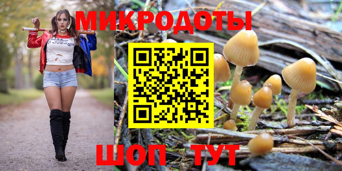 Галлюциногенные грибы Magic Shrooms Малгобек