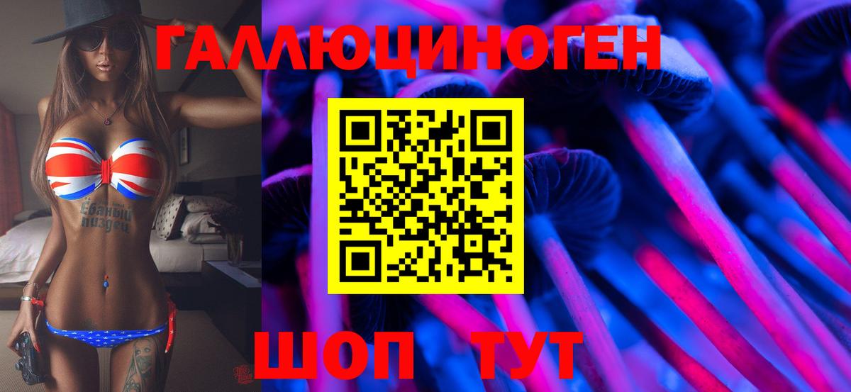 Малгобек  Псилоцибиновые грибы мухоморы  Вход с VPN 