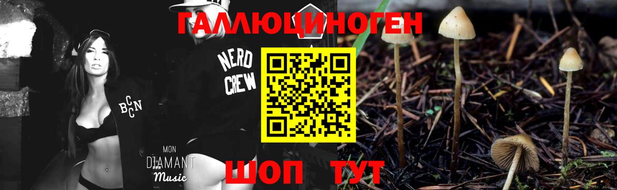 Псилоцибиновые грибы Magic Shrooms Малгобек